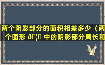 两个阴影部分的面积相差多少（两个图形 🦄 中的阴影部分周长和面积大小 🪴 关系是）